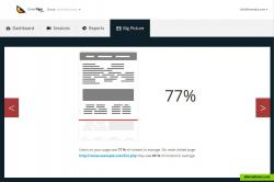 Don't have time to watch lengthy sessions or "decode" numbers and you are on your way to an important meeting with your marketing team? The “Big Picture” tab is what you’ve been looking for! View in just few seconds what happened on your website and make decisions on what to improve in order to increase conversions.