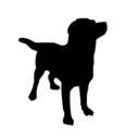 Updog icon