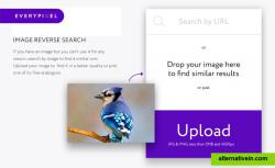 Search by image