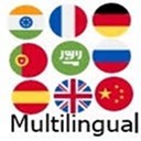 Multilingual icon