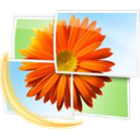 Windows Live Photo Gallery icon