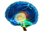 BrainScale.net icon