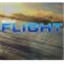 Microsoft Flight icon