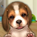 My First Dog icon