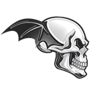 A7X Flap icon