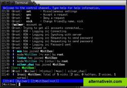 BitlBee in irssi inside screen.