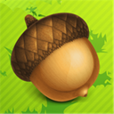 Social Acorn icon