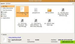 Search Tool - The main application for searching for content is called tracker-search-tool. With this tool you can browse your data by category. Each time a file is selected the details about that file are described in a bottom pane of the window.