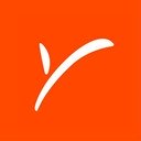 Payoneer icon