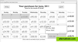 The calendar view of your spending