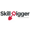 SkillDigger icon