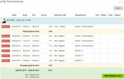 Timesheet Summary