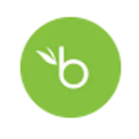 bambooHR icon