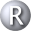 Real Desktop icon