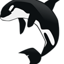 SuperOrca icon