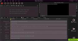 Main video editor