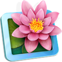 LilyView icon