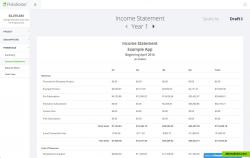 Income Statement