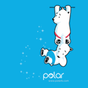 Polar Polls icon