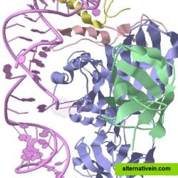 Crystal structure of an H/ACA box RNP from Pyrococcus furiosus