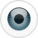 ESET Endpoint Security icon