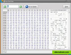 View Disk Data