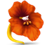 Nasturtium Player icon