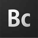 Business Catalyst icon