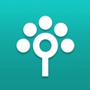 Songtree icon