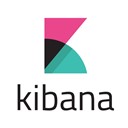 Kibana icon