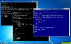 Cygwin terminals running on Windows 7