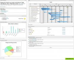 Customize your project dashboard with many widgets and charts