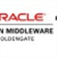 Oracle GoldenGate icon