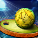 Roller Rolling Ball icon