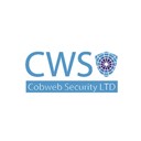 CWIS website antivirus icon