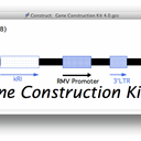 Gene Construction Kit icon