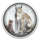 Shelter icon