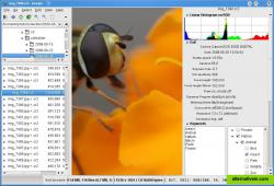 Sidebar with histogram, exif and keywords