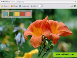 Create color schemes from a photo