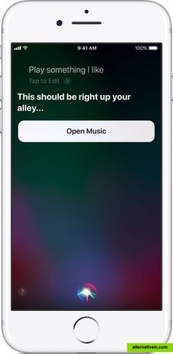 Siri in an iPhone.