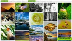 Exhibit - photos showcase, curated by SlickPic Editors