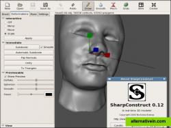 an example of a simple human head being sculpted.