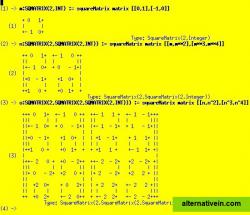 Matrix within a Matrix