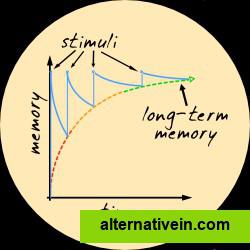 How to reach long-term memory