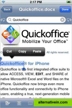 Quickoffice on iPhone (2)