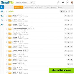 SmartFile files tab.