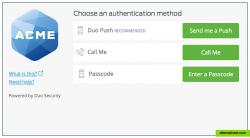 The Duo Prompt lets you choose how to verify your identity each time you log in.