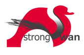 strongSwan icon