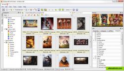 Main window of XnViewMP - Thumbnail View