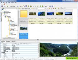 Main window of XnViewMP - Thumbnail View